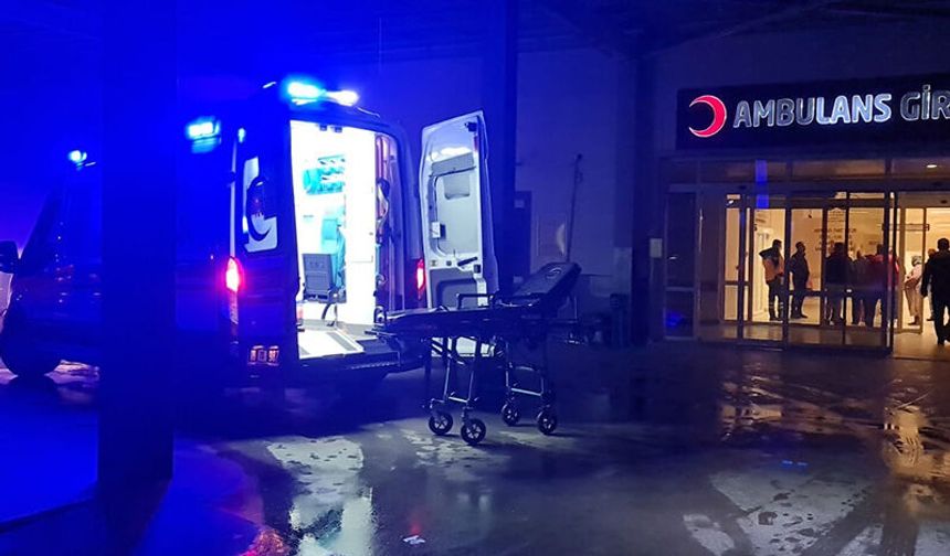 Aydın'da minibüs tarlaya uçtu: Ölü ve yaralılar var
