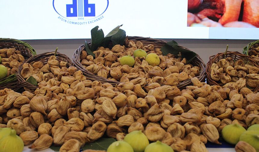 Aydın’da sezonun ilk kuru inciri satıldı