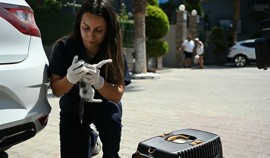Kuşadası’nda can dostların hayatı Haybulans’a emanet