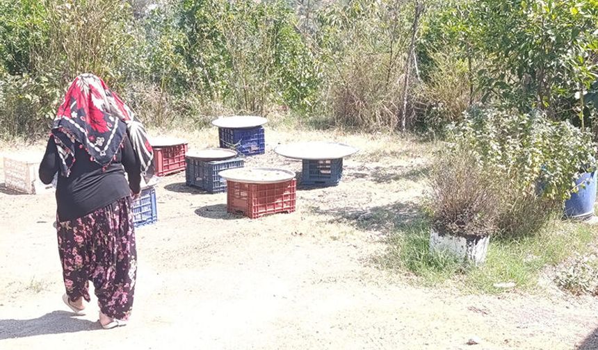 Köşk'te kışlık tarhana hazırlıkları başladı