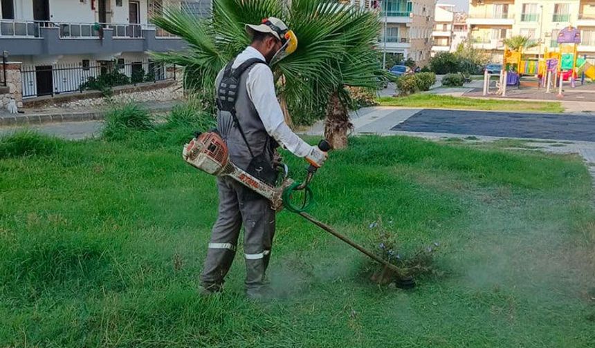 Didim Belediyesi ot biçme ve budama çalışmalarını sürdürüyor