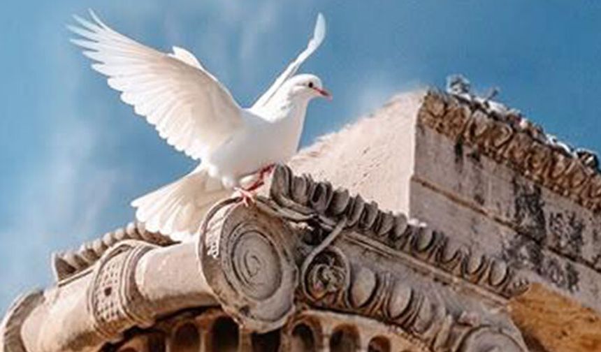 Didim Belediyesi’nin düzenlediği 31. Didim Barış Şenliği başlıyor