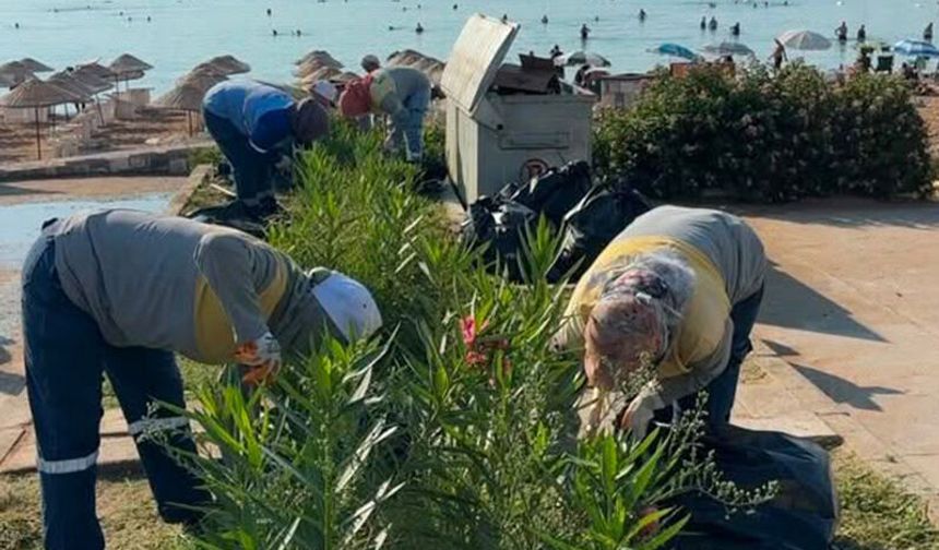 Didim Belediyesi yeşil alanlarda bakım ve düzenleme çalışmalarını sürdürüyor