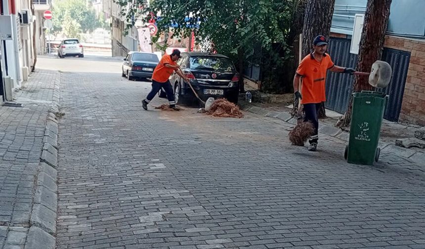 Başkan Yetişkin’le Efeler’de temizlik çalışmaları aralıksız sürüyor