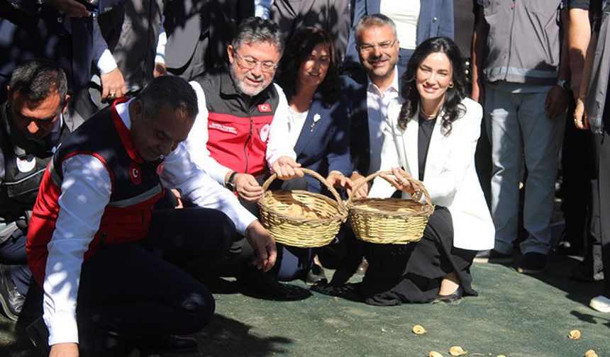 Bakan Yumaklı Aydın'da incir hasadına katıldı