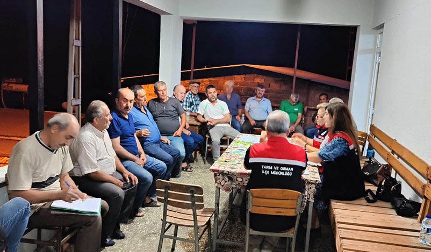 Aydın incirinin kalitesi ve sürdürülebilirliği için çalışmalar sürüyor