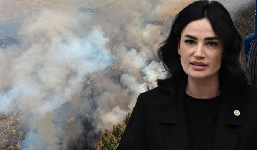 Sarıbaş: Devletimizin tüm imkanları seferber edildi