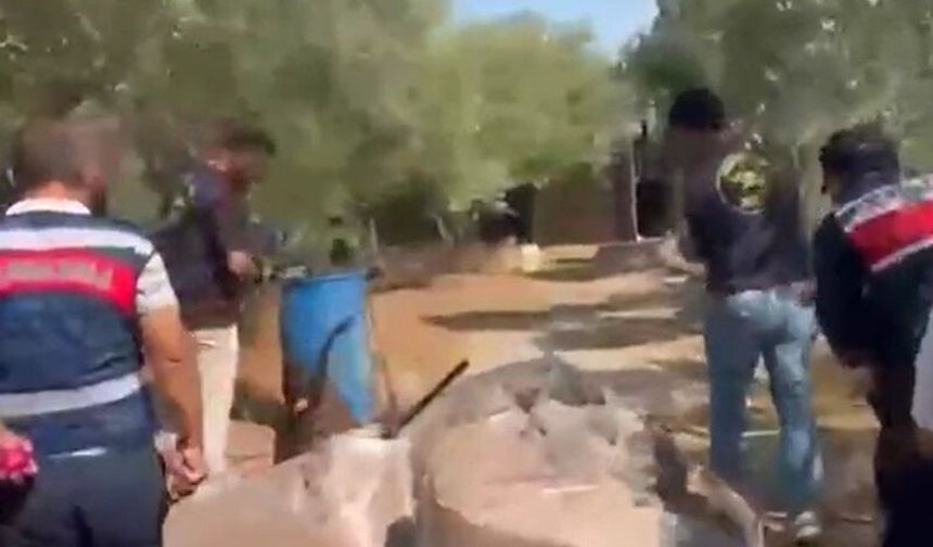 Aydın’da zehir tacirlerine 100 milyon TL’lik darbe
