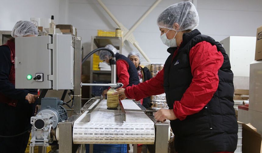 Kadın Emeği Tarımsal Ürün Fabrikası’yla yerel üretim dünyaya açılıyor
