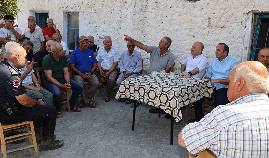 Vali Varol: Yanan alanlar en kısa sürede yeniden yeşillendirilecek