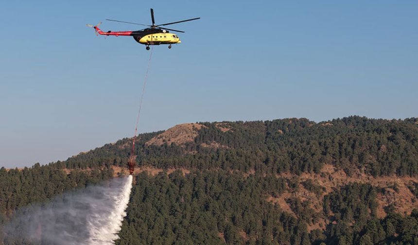 Kuyucak'taki orman yangını kontrol altına alındı