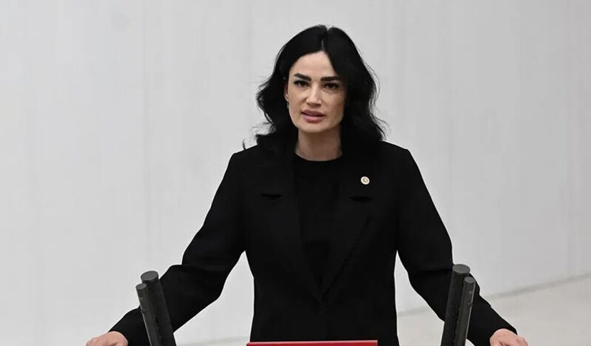 Sarıbaş: Milli iradeye sahip çıkmak, Menderes’in hatırasına sahip çıkmaktır