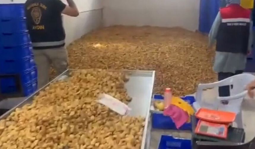 Köşk’te 25 ton etiketsiz kuru incir ele geçirildi
