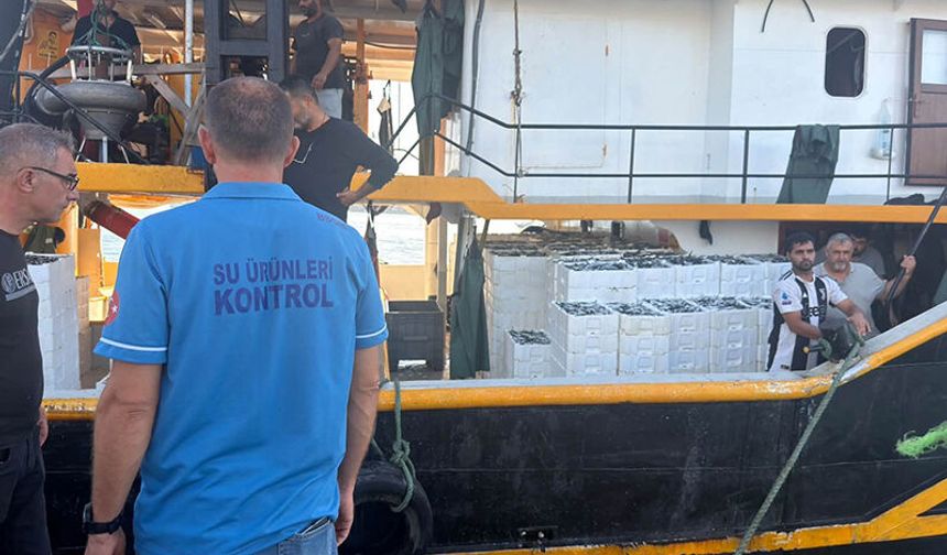 Hamsi avında kota dönemi başladı