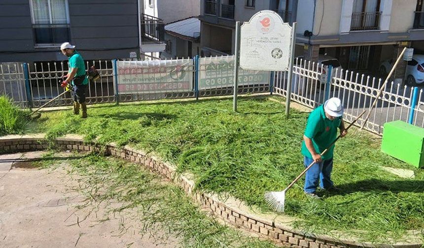 Efeler Belediyesi parklarda bakım çalışmalarını sürdürüyor