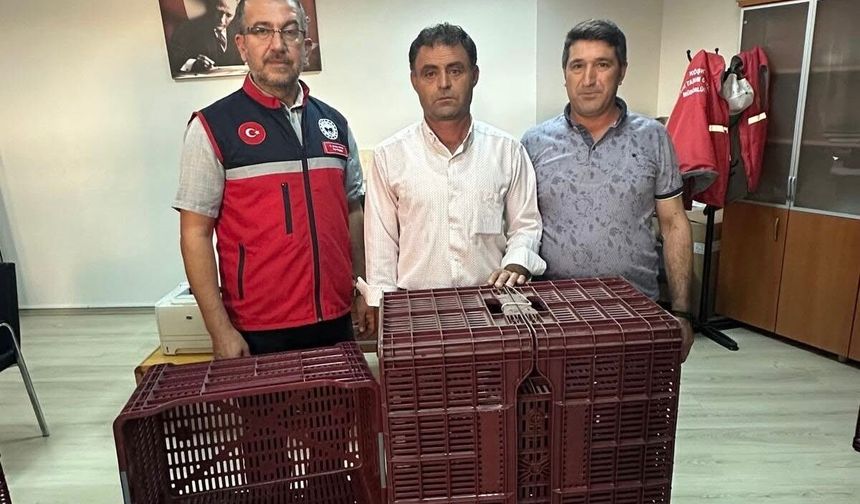 Köşk'te İncir Üreticilerine Hibeli Kasa Desteği