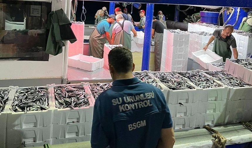 Didim'de Hamsi Kotası Denetimi Yapıldı
