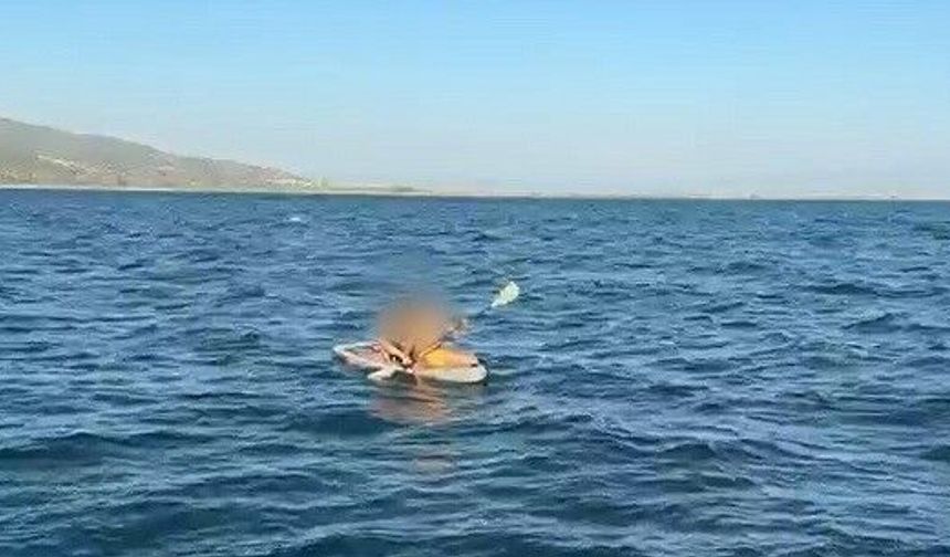 Aydın'da Kürek Sörfü Yapan 2 Kişi Denizde Mahsur Kaldı: Sahil Güvenlik Zamanla Yarıştı