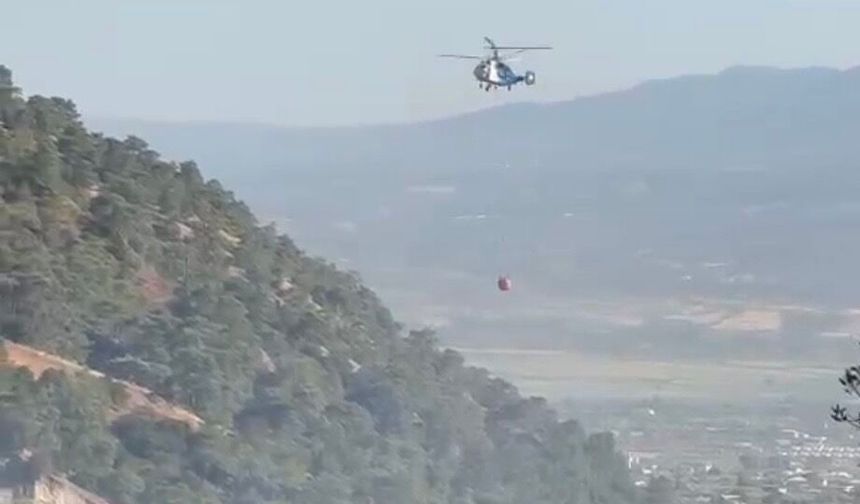 Kuyucak’ta Zeytinlik Alanda Çıkan Yangın Söndürüldü