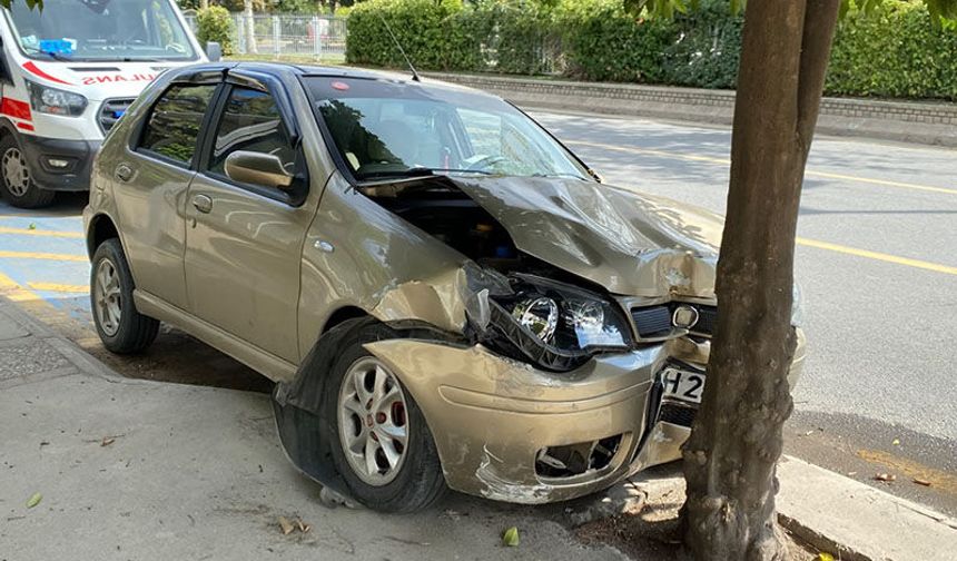 Aydın’da  otomobil ağaca çarptı
