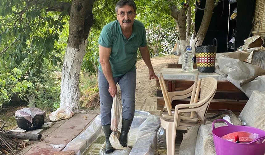 Aydın’da pekmez kazanları asırlık yöntemle kaynıyor