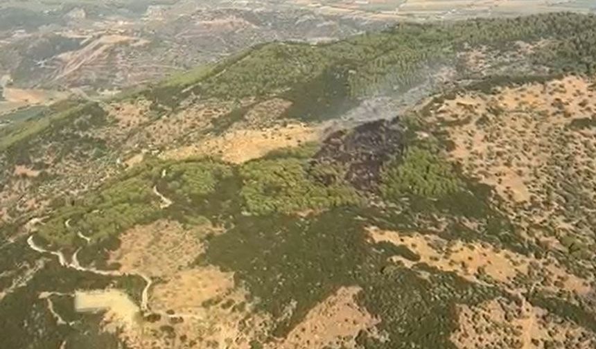 Çine'deki orman yangını kontrol altına alındı