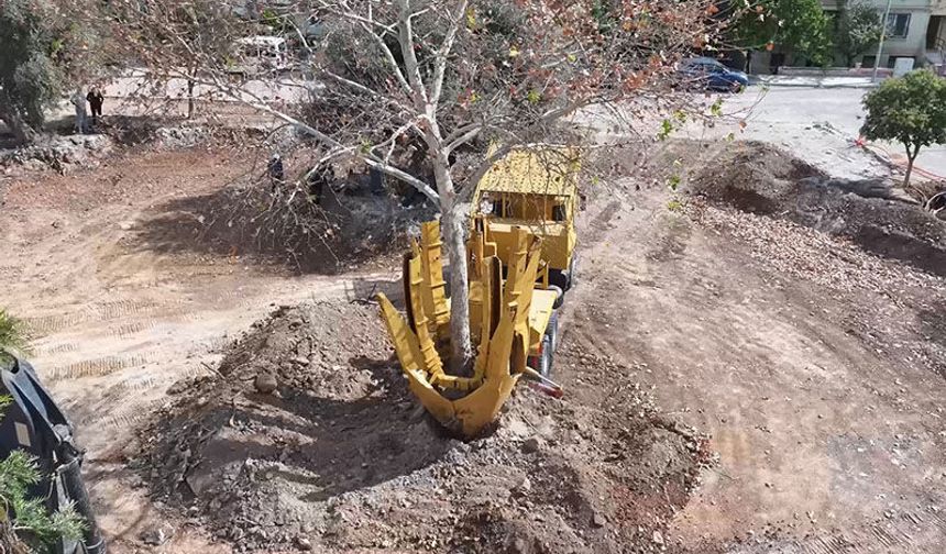 Didim’de doğayı koruyan park çalışması