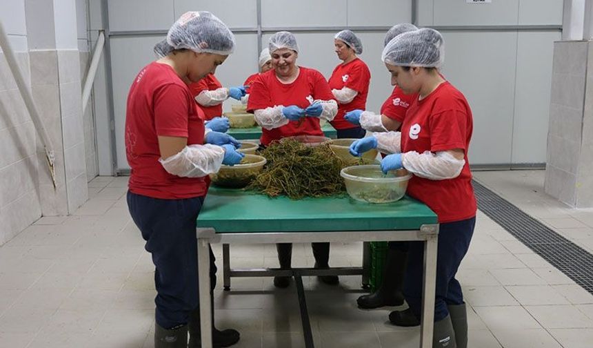 Efeler’in yöresel ürün çeşitliliği 63’e yükseldi