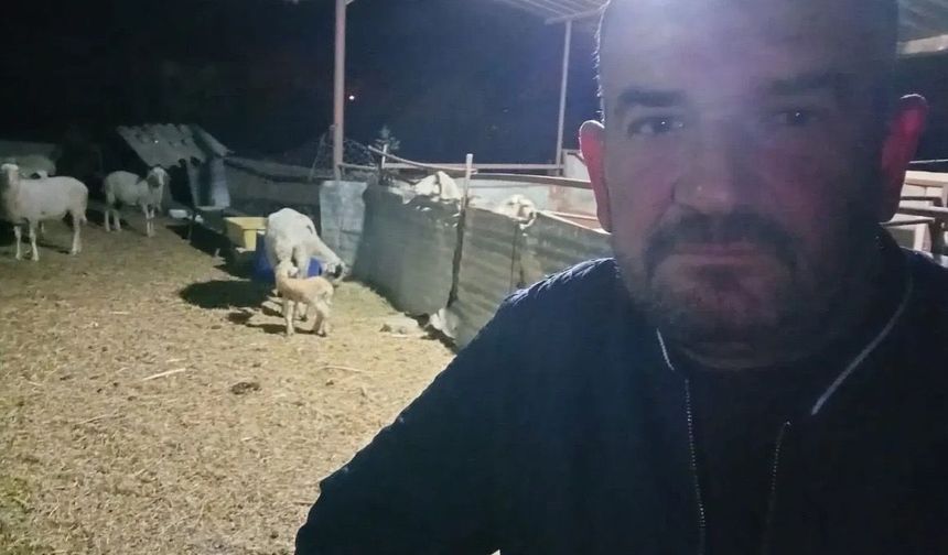Nazilli’de Ömer Özek’in Otopsi Raporu Ortaya Çıktı