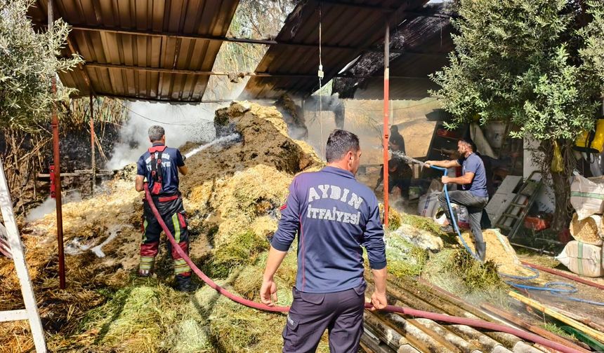 Nazilli Besi Çiftliğinde Yangın