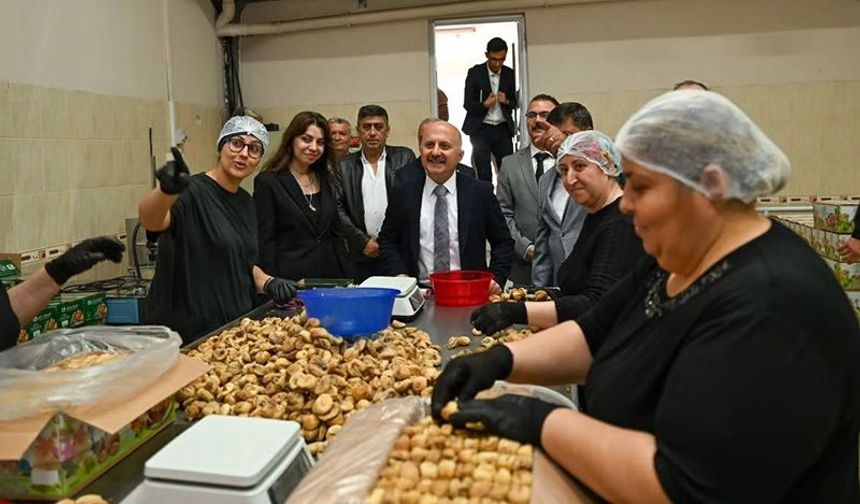 Aydın’da 'İncir Konseyi' kuruluyor