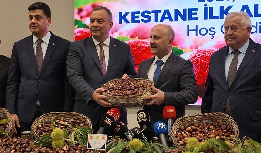 Aydın’da kestane ilk alım töreni gerçekleştirildi