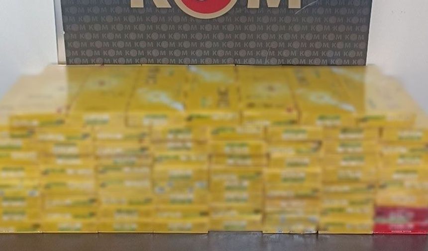 Aydın’da kaçak tütün operasyonu