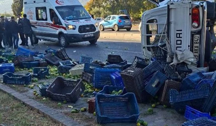 Mandalina yüklü kamyonet devrildi