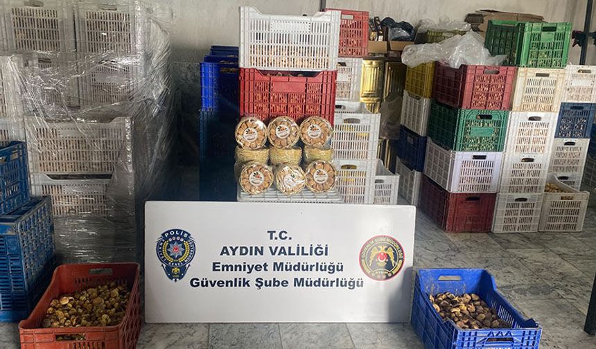 Aydın’da ‘sahtecilik’ operasyonu