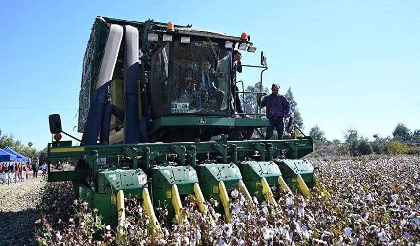 Vali Varol Söke Ovası’nda pamuk hasadına katıldı